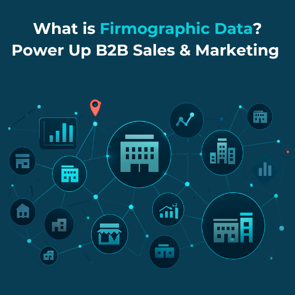 What is firmographic data