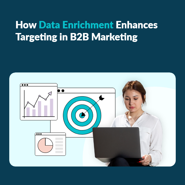 Unlock Better B2B Targeting with Advanced Data Enrichment
