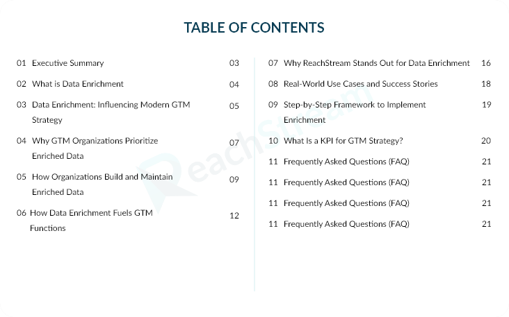 Table of Contents – Data Enrichment for GTM Whitepaper Table of contents listing sections of the data enrichment for GTM whitepaper