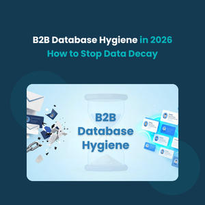 B2B Database Hygiene