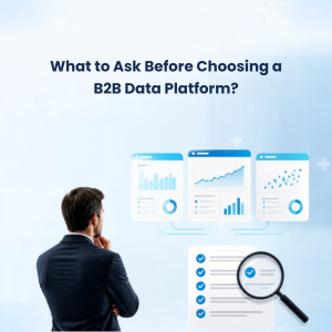 Choosing a B2B Data Platform Choosing a B2B Data Platform
