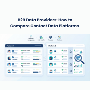 B2B Data Providers: How to Compare Contact Data Platforms