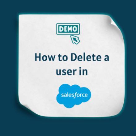 How to Delete a user in Salesforce-Feature