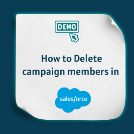 How to Delete campaign members in salesforce - Feature